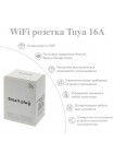 Умная WiFi розетка Tuya 16А с таймером и голосовым управлением OT-HOS07